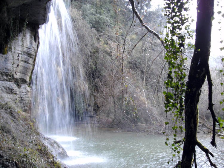 003 La gorga del salt del roure